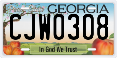 GA license plate CJW0308