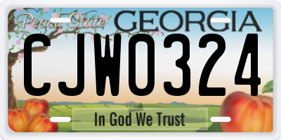 GA license plate CJW0324