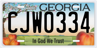 GA license plate CJW0334