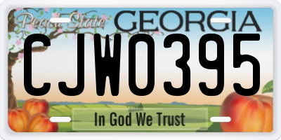 GA license plate CJW0395
