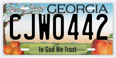 GA license plate CJW0442