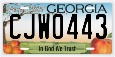 GA license plate CJW0443
