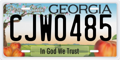 GA license plate CJW0485