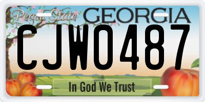 GA license plate CJW0487