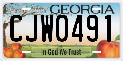 GA license plate CJW0491