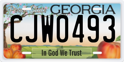 GA license plate CJW0493