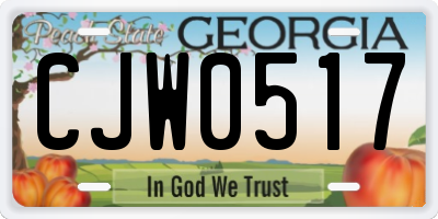 GA license plate CJW0517