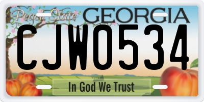 GA license plate CJW0534