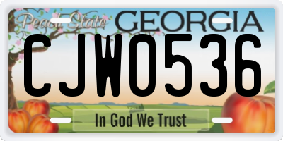 GA license plate CJW0536