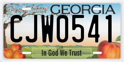 GA license plate CJW0541