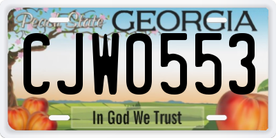 GA license plate CJW0553