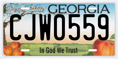 GA license plate CJW0559