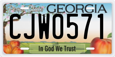 GA license plate CJW0571