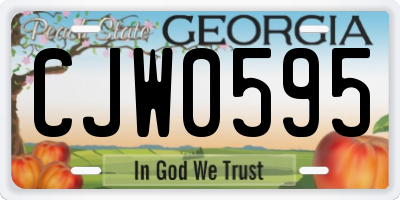 GA license plate CJW0595