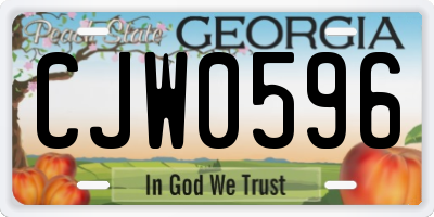 GA license plate CJW0596