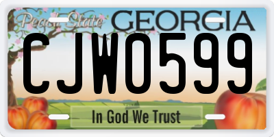 GA license plate CJW0599