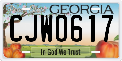 GA license plate CJW0617