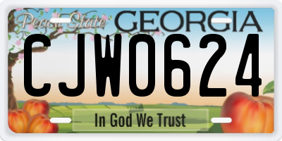 GA license plate CJW0624