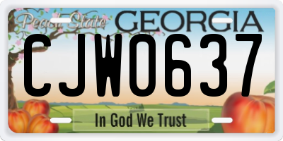 GA license plate CJW0637