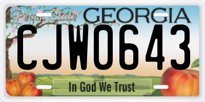 GA license plate CJW0643