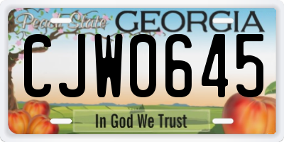 GA license plate CJW0645