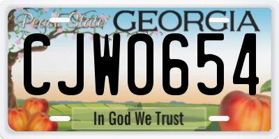 GA license plate CJW0654