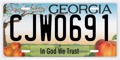 GA license plate CJW0691