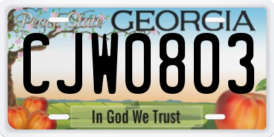 GA license plate CJW0803