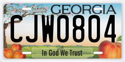 GA license plate CJW0804
