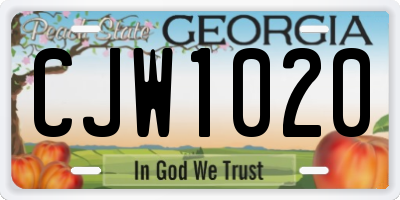 GA license plate CJW1020