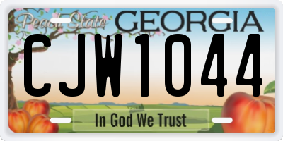 GA license plate CJW1044
