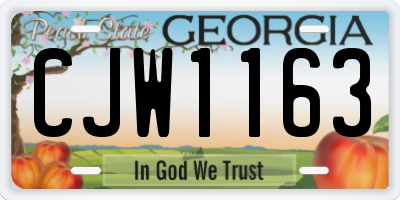GA license plate CJW1163