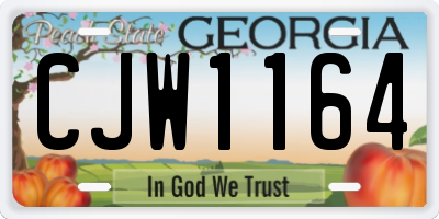 GA license plate CJW1164