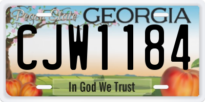 GA license plate CJW1184