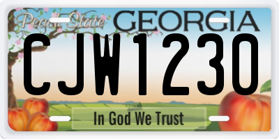 GA license plate CJW1230