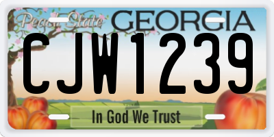 GA license plate CJW1239