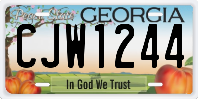 GA license plate CJW1244