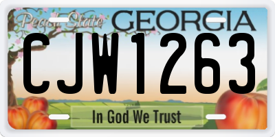 GA license plate CJW1263