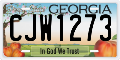 GA license plate CJW1273