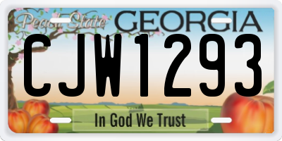 GA license plate CJW1293