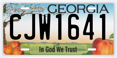 GA license plate CJW1641