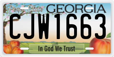 GA license plate CJW1663