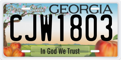 GA license plate CJW1803