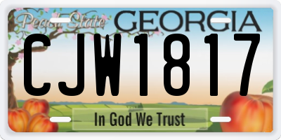 GA license plate CJW1817