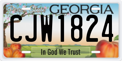 GA license plate CJW1824
