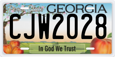GA license plate CJW2028