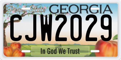 GA license plate CJW2029