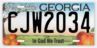 GA license plate CJW2034