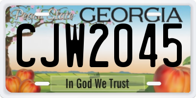 GA license plate CJW2045
