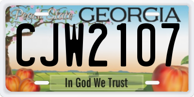 GA license plate CJW2107